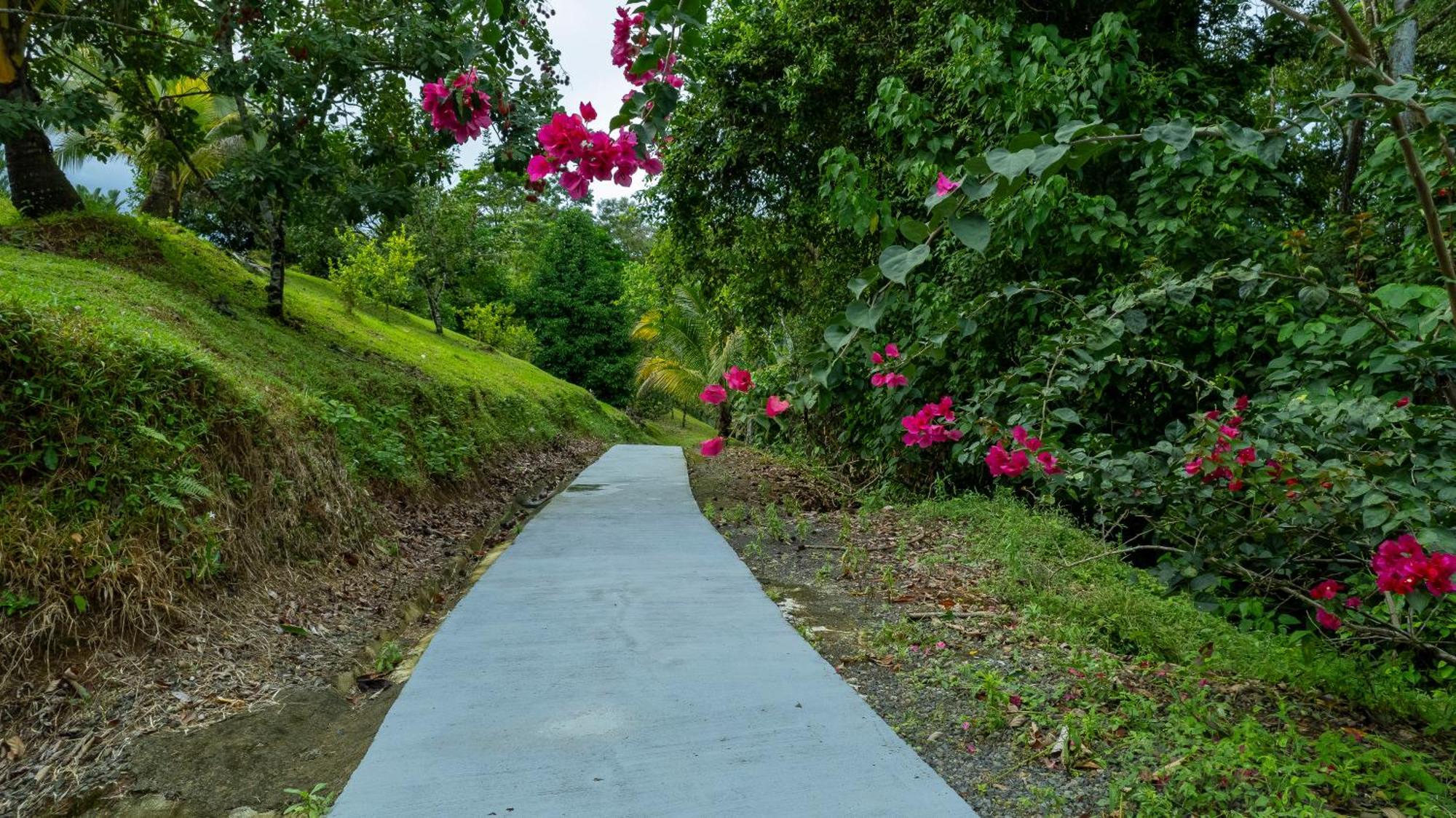 Serenity Rainforest Condos La Fortuna 外观 照片